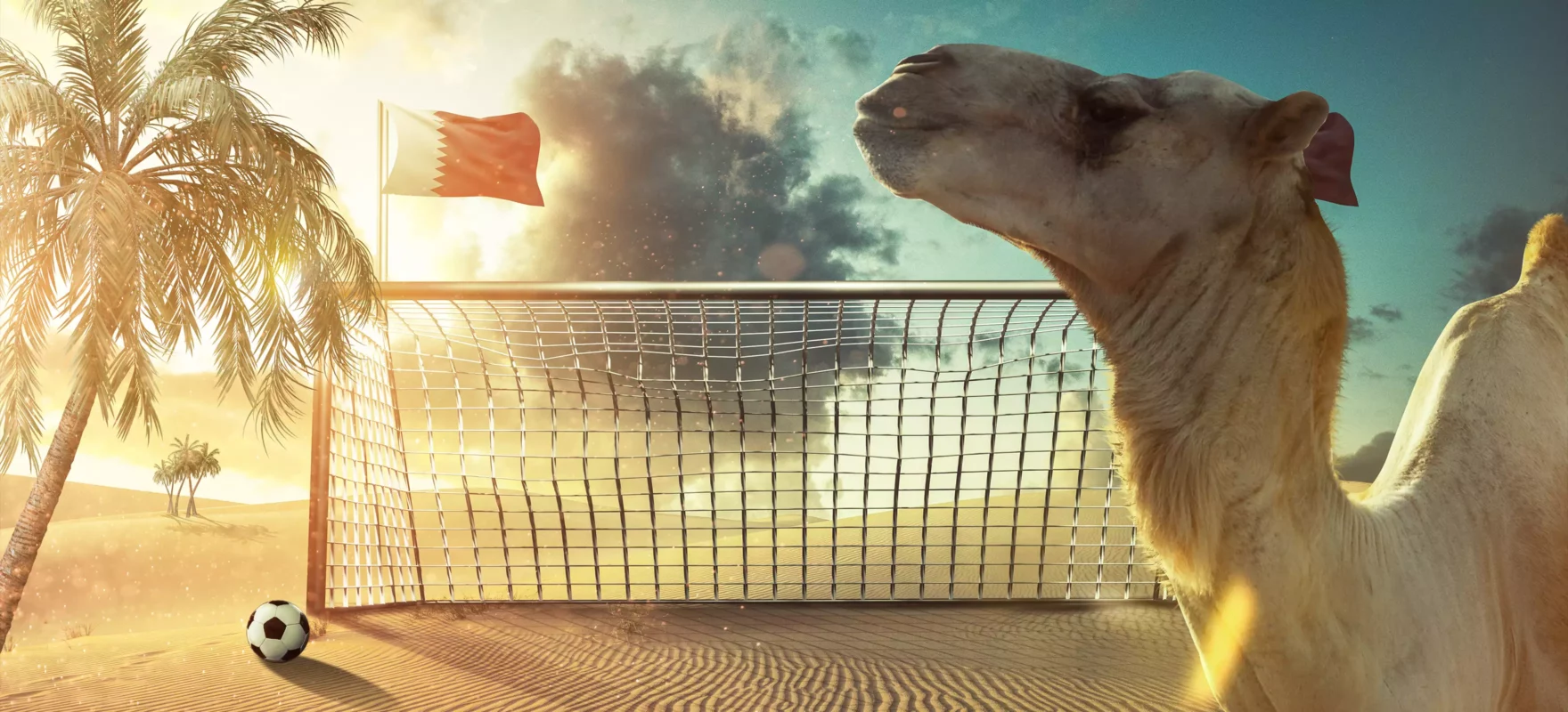 Football World Cup hero image